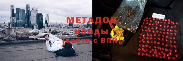 крисы Корсаков