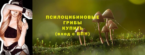 амф Коряжма