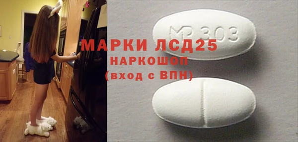 крисы Корсаков