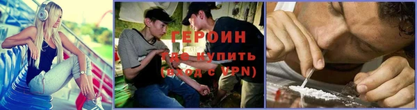 крисы Корсаков