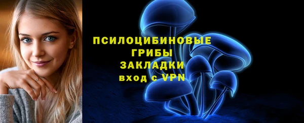 крисы Корсаков