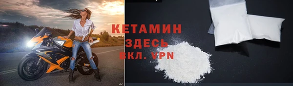 крисы Корсаков