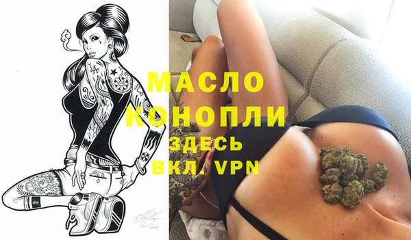 крисы Корсаков