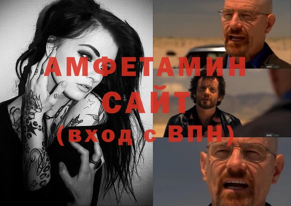 крисы Корсаков