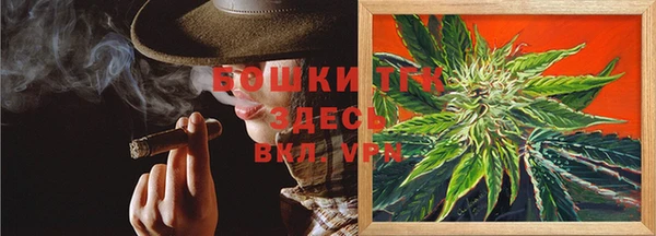 крисы Корсаков