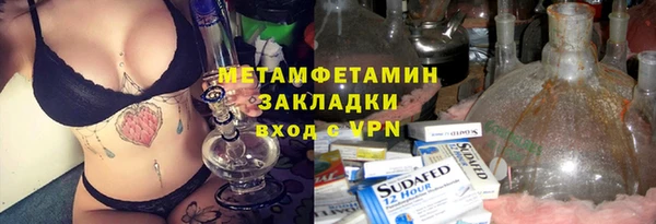 крисы Корсаков