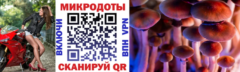 Купить  Калтан  Галлюциногенные грибы ЛСД 